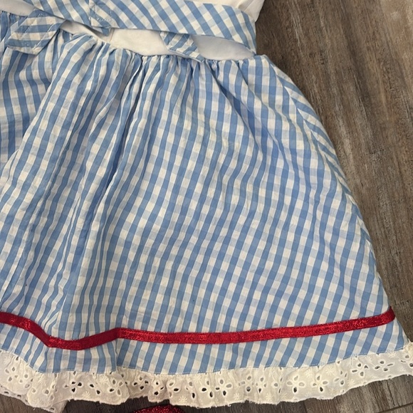 Dorthy Wizard of OZ dress & Vintage Ruby Slippers - Picture 12 of 13